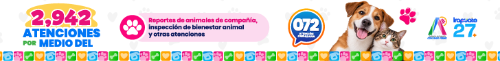 Banner Add